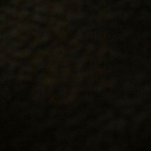 Meet your Posher, Liz